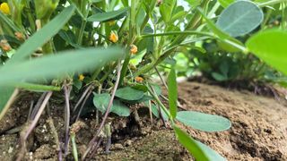 전영순님의 기타작물 · 영농일지 작성글 사진