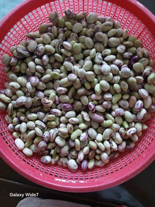 김명자님의 기타작물 · 영농일지 작성글 사진