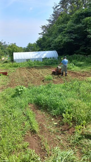 초보 구찌뽕님의 감자 · 영농일지 작성글 사진