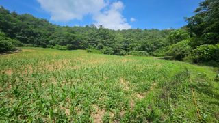 김주희님의 기타작물 · 영농일지 작성글 사진