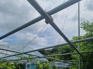 논산푸른팜님의 포도 · 영농일지 작성글 사진