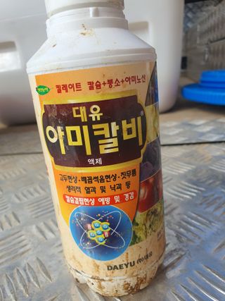 오이8898황산면님의 고추 · 영농일지 작성글 사진