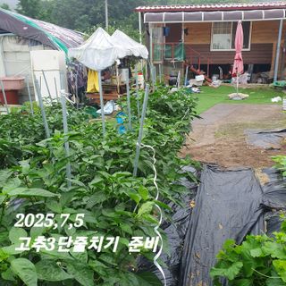 시민농장님의 고추 · 영농일지 작성글 사진