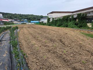 뚜벅이님의 기타작물 · 영농일지 작성글 사진