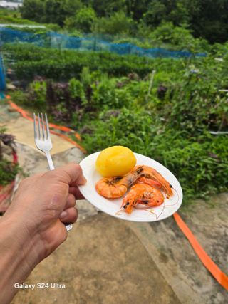 소병찬님의 감자 · 영농일지 작성글 사진