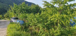 반성식님의 기타작물 · 영농일지 작성글 사진