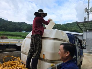 장관덕님의 기타작물 · 영농일지 작성글 사진