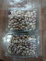 팜모닝 기타작물·영농일지 게시글 이미지