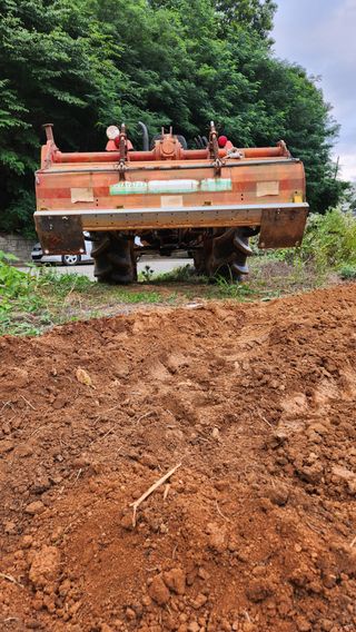 봉담고추님의 들깨 · 영농일지 작성글 사진