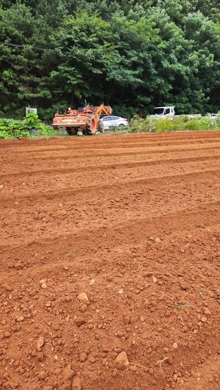 봉담고추님의 고추 · 영농일지 작성글 사진