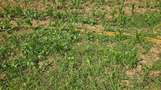 김주희님의 기타작물 · 영농일지 작성글 사진