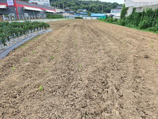 뚜벅이님의 기타작물 · 영농일지 작성글 사진