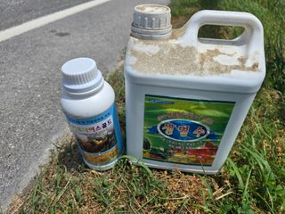 장관덕님의 기타작물 · 영농일지 작성글 사진