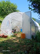 팜모닝 기타작물·영농일지 게시글 이미지