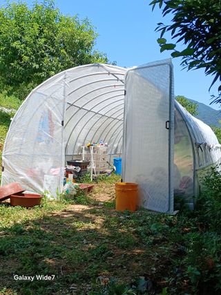 김명자님의 기타작물 · 영농일지 작성글 사진