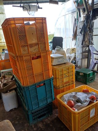 전원수님의 토마토 · 영농일지 작성글 사진