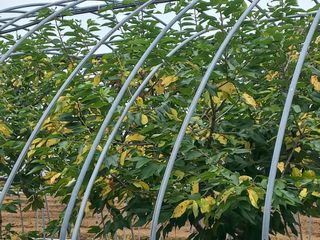 농민님의 기타작물 · 영농일지 작성글 사진