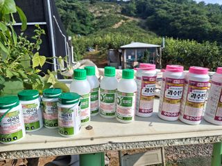 The농원님의 기타작물 · 영농일지 작성글 사진