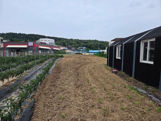 뚜벅이님의 기타작물 · 영농일지 작성글 사진