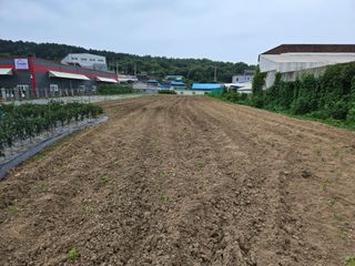 뚜벅이님의 기타작물 · 영농일지 작성글 사진