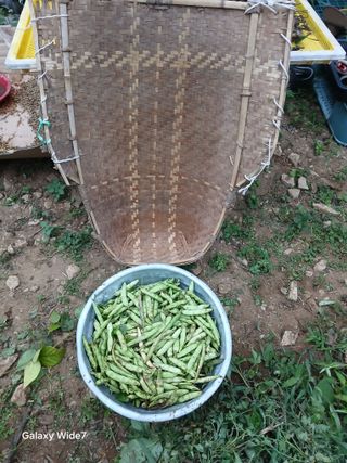 김명자님의 기타작물 · 영농일지 작성글 사진