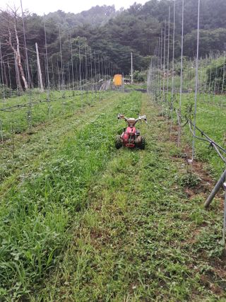 양배추20804님의 사과 · 영농일지 작성글 사진