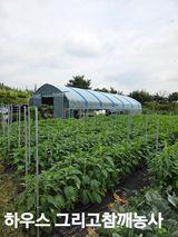 팜모닝 기타작물·영농일지 게시글 이미지