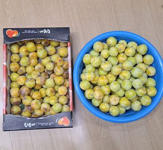 주윤발이님의 자두 · 영농일지 작성글 사진