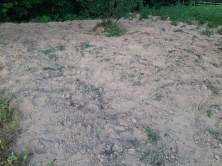 형남영님의 기타작물 · 영농일지 작성글 사진