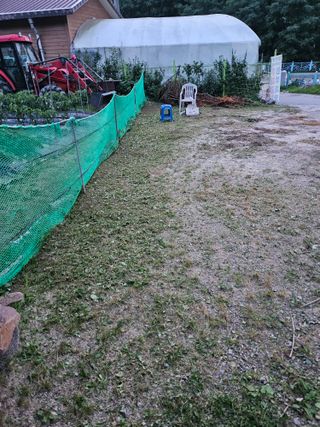 강희상님의 포도 · 영농일지 작성글 사진