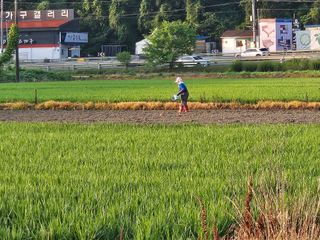 박원봉님의 호박 · 영농일지 작성글 사진