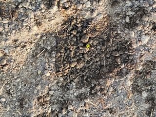 박원봉님의 호박 · 영농일지 작성글 사진