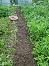 팜모닝 감자·영농일지 게시글 이미지