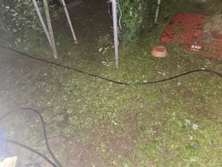 강희상님의 포도 · 영농일지 작성글 사진