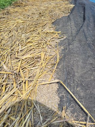 정택님의 기타작물 · 영농일지 작성글 사진