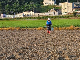 박원봉님의 호박 · 영농일지 작성글 사진