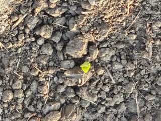 박원봉님의 호박 · 영농일지 작성글 사진