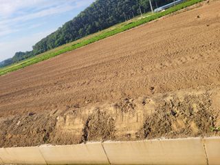 김춘성님의 기타작물 · 영농일지 작성글 사진