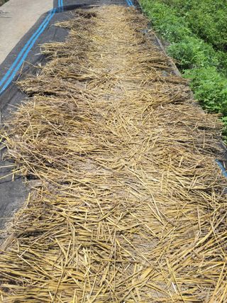 정택님의 기타작물 · 영농일지 작성글 사진