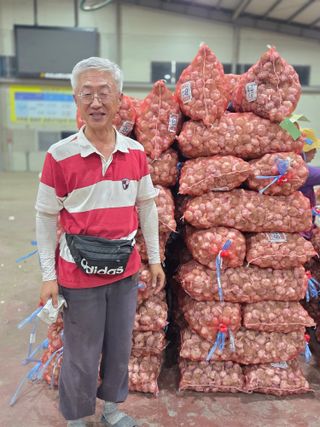 서녕이님의 마늘 · 영농일지 작성글 사진