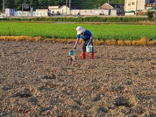 박원봉님의 호박 · 영농일지 작성글 사진