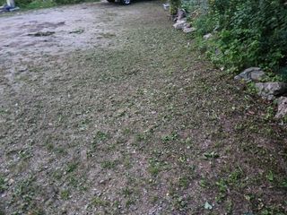 강희상님의 포도 · 영농일지 작성글 사진