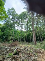 팜모닝 기타작물·영농일지 게시글 이미지