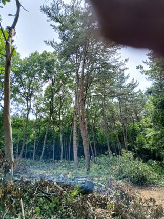 象峰 농산님의 기타작물 · 영농일지 작성글 사진