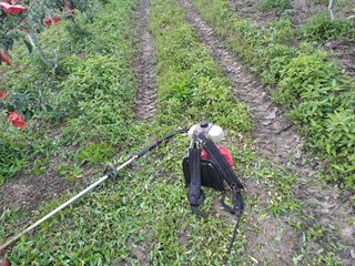 능금아저씨님의 사과 · 영농일지 작성글 사진