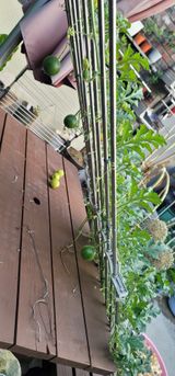 팜모닝 기타작물·영농일지 게시글 이미지