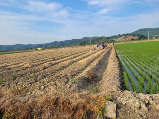 김춘성님의 기타작물 · 영농일지 작성글 사진