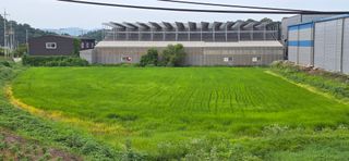 한내님의 벼 · 영농일지 작성글 사진