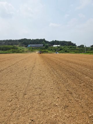 장군농산장창민님의 콩 · 영농일지 작성글 사진