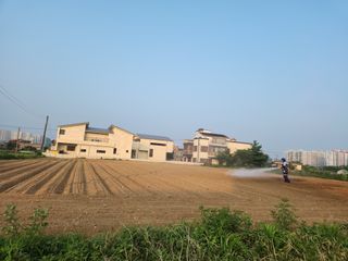 하나일님의 콩 · 영농일지 작성글 사진